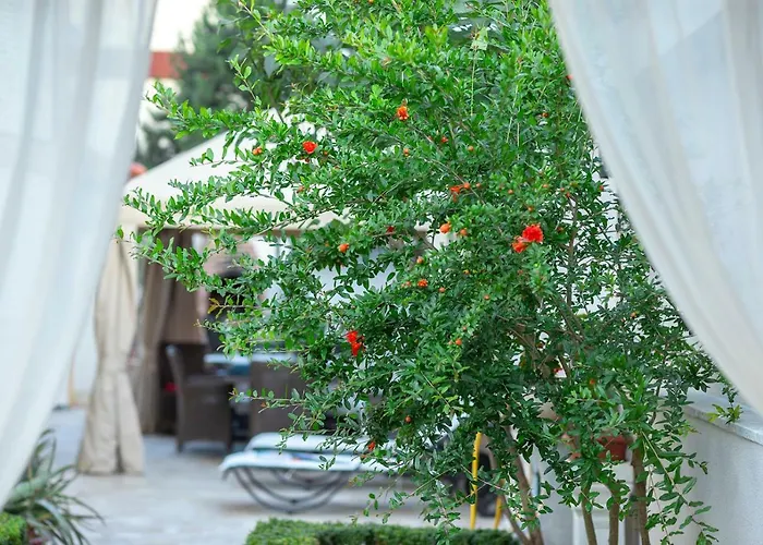 Ronda 4* エフォリエ・スド