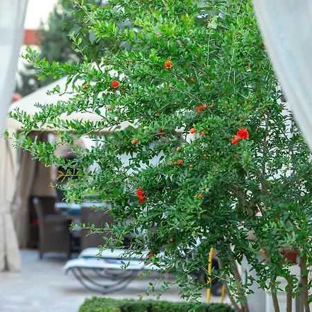 Ronda 4* Eforie Sud (Constanta)