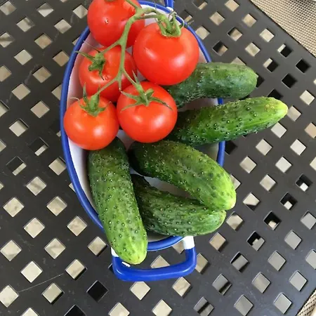 Affittacamere Ronda 4*