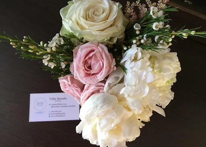 Ronda Guest house Eforie Sud (Constanta)