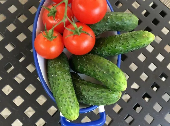 Guest house Ronda 4*